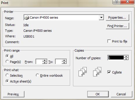 Excel Printing: Print dialog box