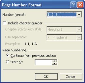 Microsoft Word Help: page number format dialog box