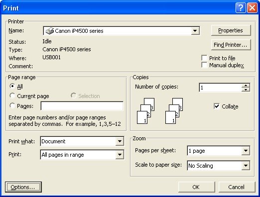 Microsoft Word Help: Print dialog box